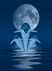 Image showing Dolphins