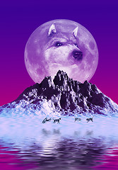 Image showing Wolves