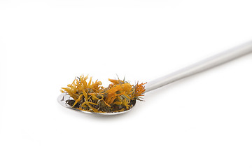 Image showing marigold or calendula officinalis