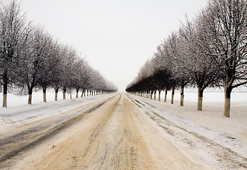 Image showing Winter road