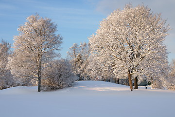 Image showing Winterlandscape