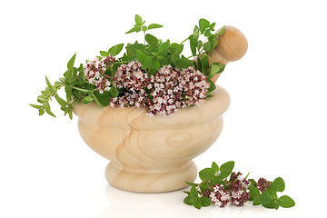 Image showing Thyme Herb