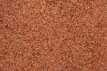 Image showing Linseed