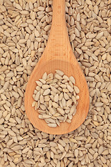 Image showing Sunflower Seed