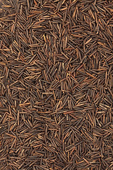 Image showing Wild Rice