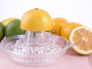 Image showing lemons squeezer