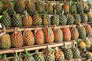 Image showing Pineapples