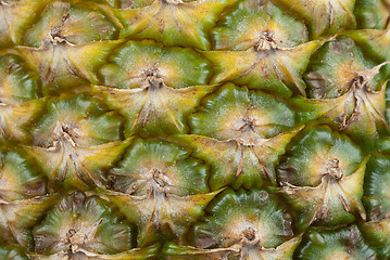 Image showing Pineapple texture