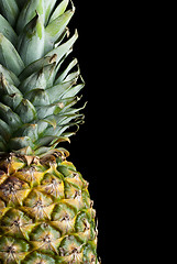 Image showing Pineapple