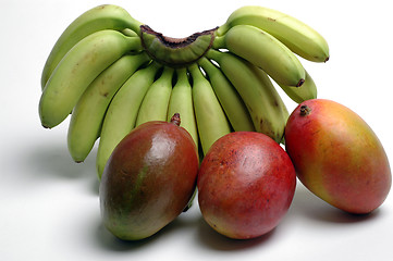 Image showing bananas and mangoes