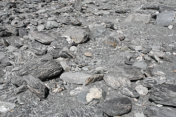 Image showing Dry river bed texture