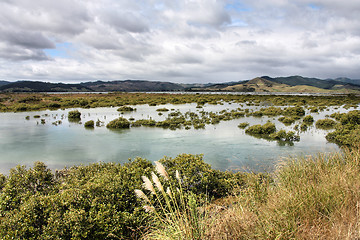Image showing Marshes