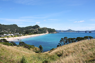 Image showing Coromandel