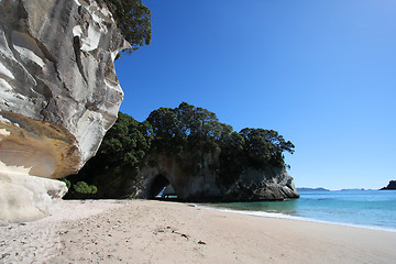 Image showing Coromandel