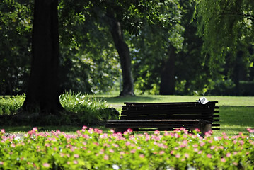 Image showing Bench At Park