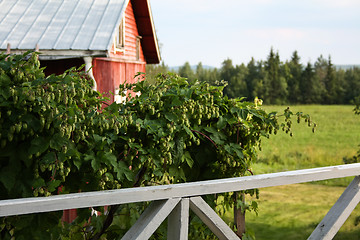 Image showing Country side