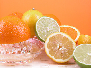 Image showing citrus squeezer