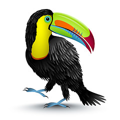 Image showing Toucan