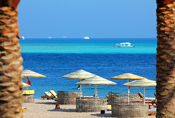 Image showing tropical beach between palm trees