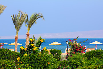 Image showing flowers and palm on tropical beach