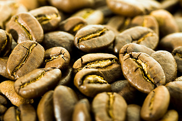 Image showing Coffee grains