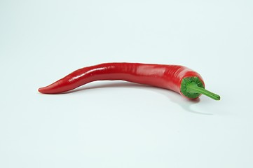 Image showing Red Chili