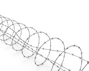 Image showing Barbed wire diagonal 