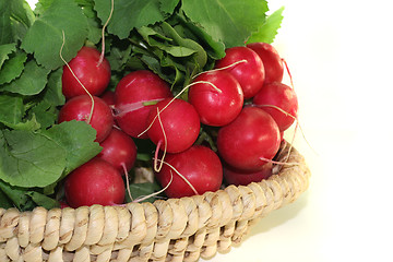 Image showing Radishes