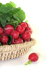 Image showing Radishes