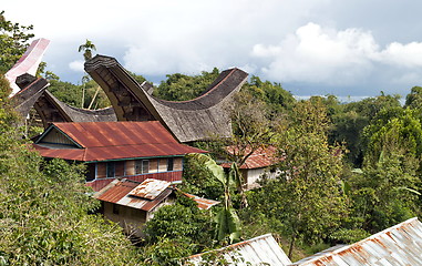 Image showing Toraja Traditional Village