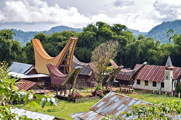Image showing Toraja Traditional Village