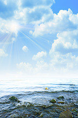 Image showing solar sea