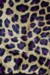 Image showing Leopardskin Pattern fabric background 