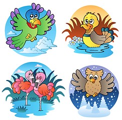 Image showing Various cute birds 1