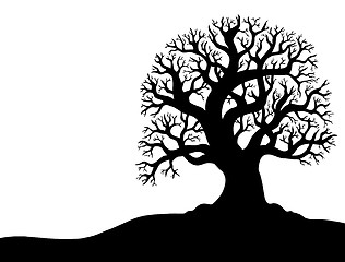 Image showing Silhouette of tree without leaf 1