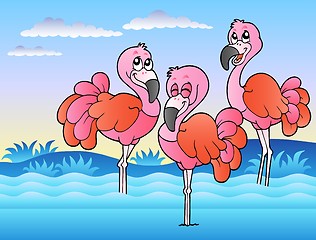 Image showing Three flamingos standing in water