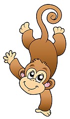 Image showing Funny cute monkey