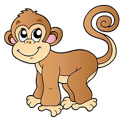 Image showing Cute small monkey