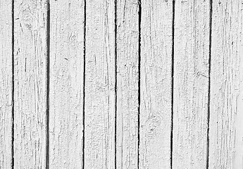 Image showing Weathered white wood