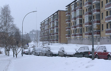 Image showing Winter