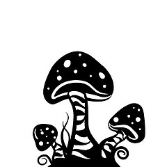 Image showing mushrooms