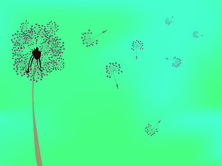 Image showing dandelion against green background