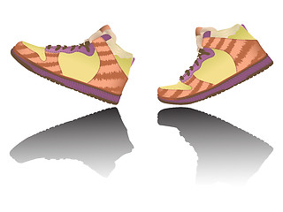 Image showing walking shoes