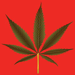 Image showing cannabis leaf against orange background