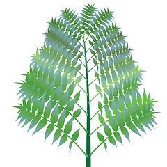 Image showing green bush against white