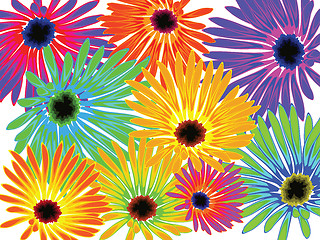 Image showing flowers background