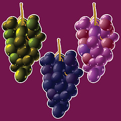 Image showing grapes clusters