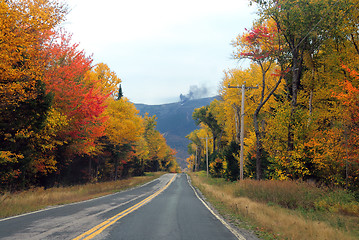 Image showing Autumn Foliage