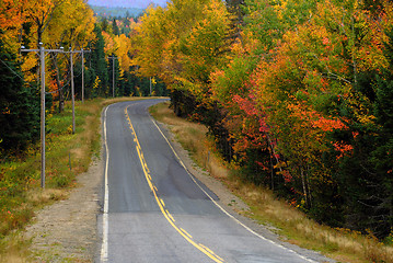 Image showing Autumn Foliage