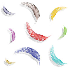 Image showing colored feathers collection